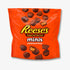 Reese’s Peanut Butter Cups Minis Unwrapped 90g - Mini Erdnuss Cups kaufen - MiMa&